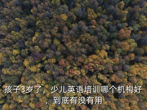 孩子3歲了，少兒英語培訓哪個機構好，到底有沒有用
