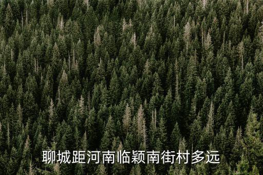 聊城距河南臨穎南街村多遠