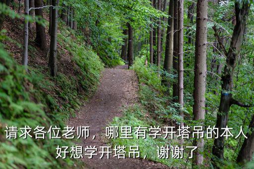 請求各位老師，哪里有學開塔吊的本人好想學開塔吊，謝謝了