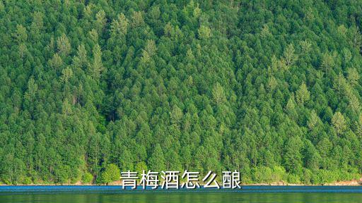 青梅酒怎么釀