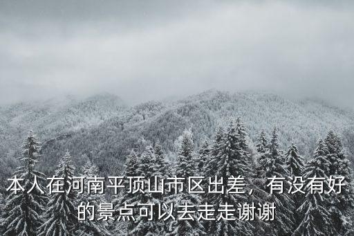 平頂山最大的竹林在哪里,平頂山未來發(fā)展機(jī)遇在哪里