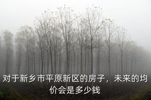 對于新鄉(xiāng)市平原新區(qū)的房子，未來的均價會是多少錢