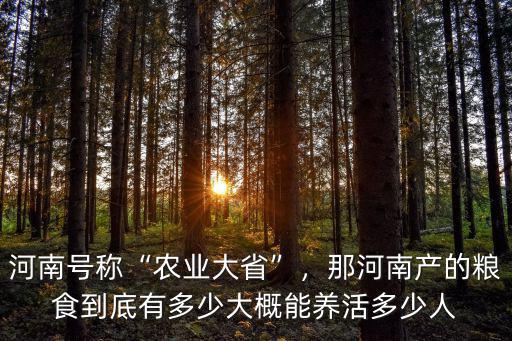 河南號稱“農業大省”，那河南產的糧食到底有多少大概能養活多少人