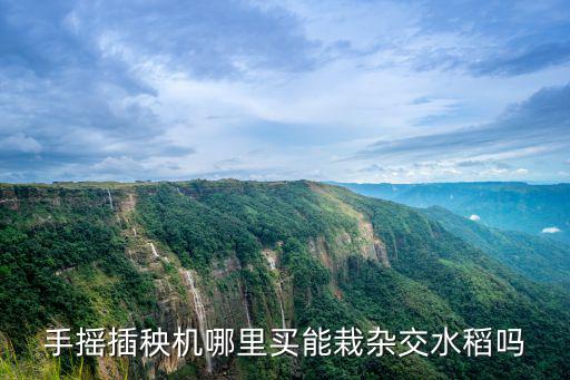 河南地區哪里用插秧機,手搖插秧機哪里買