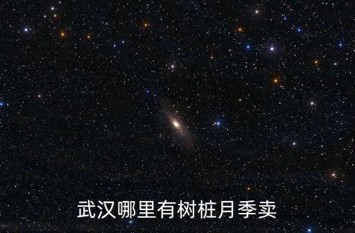 武漢哪里有樹樁月季賣