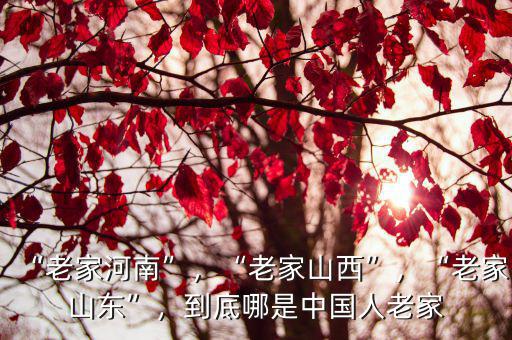 河南曾占國老家哪里的,朱元璋的老家在哪里