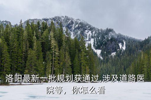 洛陽最新一批規(guī)劃獲通過,涉及道路醫(yī)院等，你怎么看