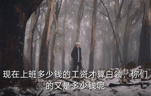 現在上班多少錢的工資才算白領，你們的又是多少錢呢