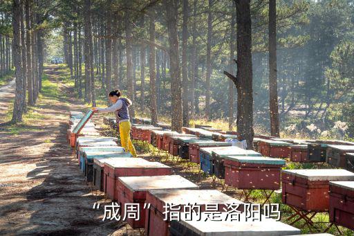 洛陽在周朝是哪里,洛陽好在哪里