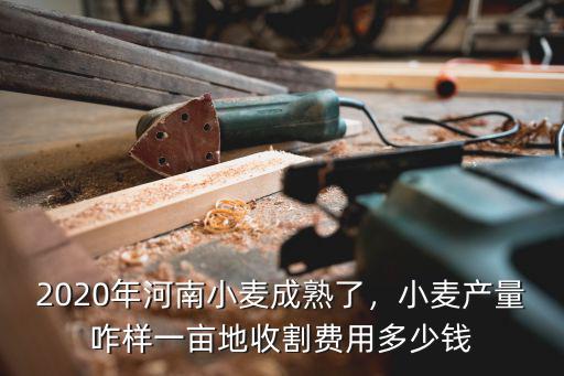 2020年河南小麥成熟了，小麥產量咋樣一畝地收割費用多少錢