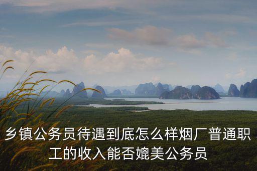 鄉(xiāng)鎮(zhèn)公務(wù)員待遇到底怎么樣煙廠普通職工的收入能否媲美公務(wù)員