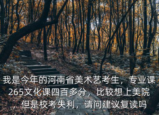 我是今年的河南省美術藝考生，專業課265文化課四百多分，比較想上美院，但是校考失利，請問建議復讀嗎