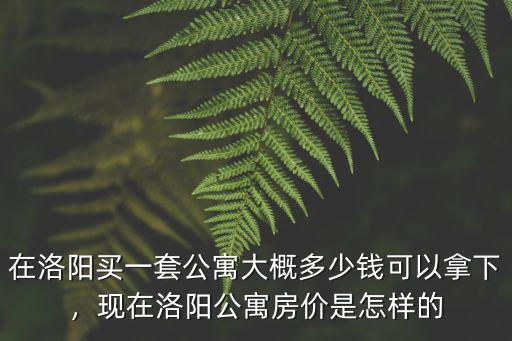 在洛陽(yáng)買一套公寓大概多少錢可以拿下，現(xiàn)在洛陽(yáng)公寓房?jī)r(jià)是怎樣的