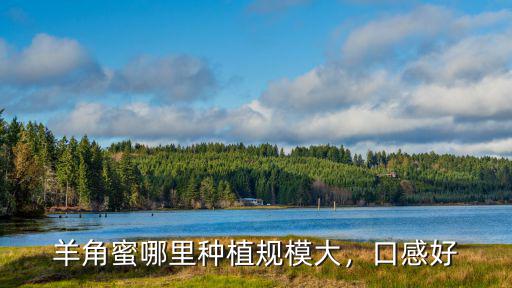 羊角蜜哪里種植規模大，口感好
