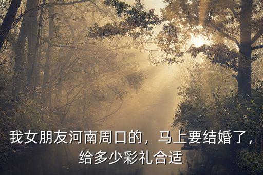 周口的彩禮會多少啊,周口這邊彩禮多少