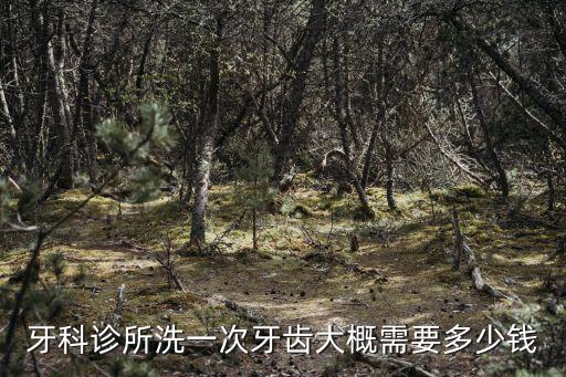 牙科診所洗一次牙齒大概需要多少錢