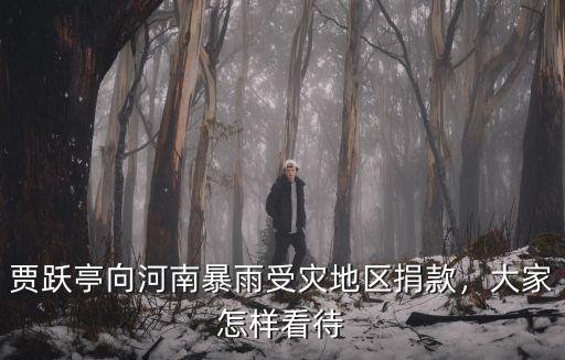 賈躍亭向河南暴雨受災地區(qū)捐款，大家怎樣看待