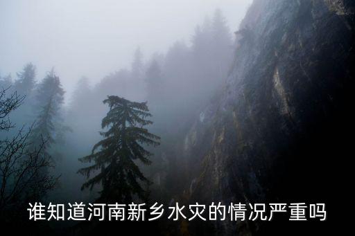 水災河南新鄉死傷多少人,誰知道河南新鄉水災的情況