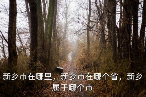 新鄉東區地鍋雞在哪里,新鄉市在哪里