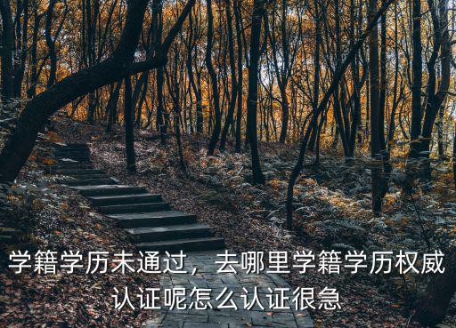 學籍學歷未通過，去哪里學籍學歷權(quán)威認證呢怎么認證很急