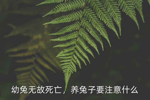 幼兔無故死亡，養(yǎng)兔子要注意什么