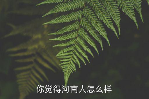 山東人怎么看待河南人,河南人怎么了