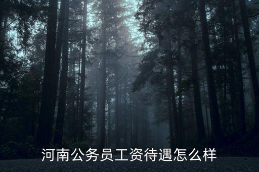 河南公務員工資待遇怎么樣