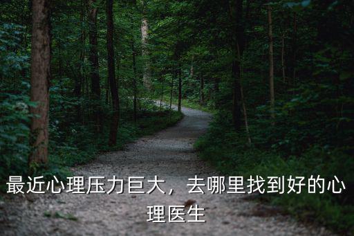 最近心理壓力巨大，去哪里找到好的心理醫生