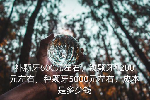 補顆牙600元左右，鑲顆牙1200元左右，種顆牙5000元左右，成本是多少錢