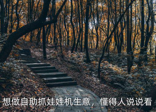 想做自助抓娃娃機生意，懂得人說說看