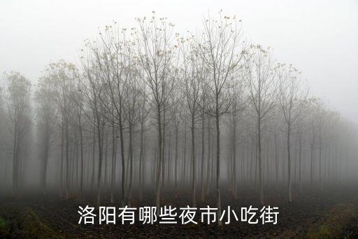 洛陽(yáng)有哪些夜市小吃街