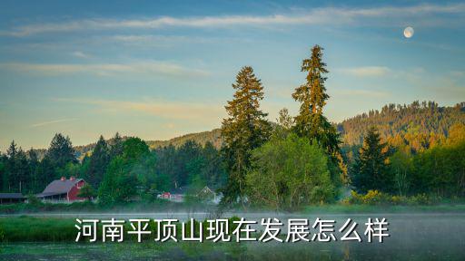 河南平頂山現(xiàn)在發(fā)展怎么樣