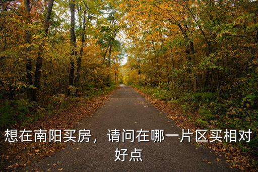 想在南陽買房，請問在哪一片區(qū)買相對好點
