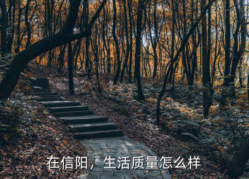 在信陽，生活質量怎么樣