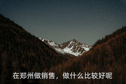 在鄭州做銷售，做什么比較好呢