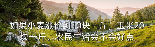 焦作地區(qū)當(dāng)今玉米多少錢一斤,玉米至少漲到多少錢一斤