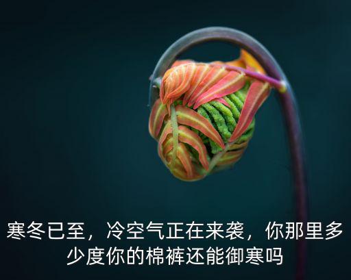 寒冬已至，冷空氣正在來襲，你那里多少度你的棉褲還能御寒嗎