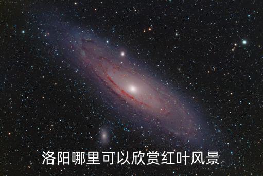 洛陽哪里可以欣賞紅葉風(fēng)景