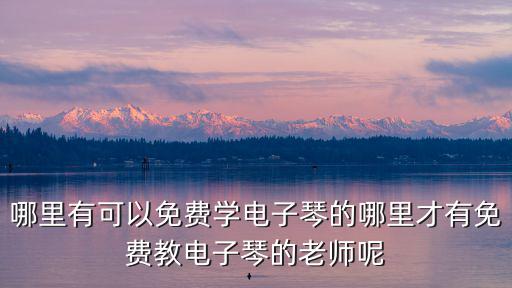 哪里有可以免費(fèi)學(xué)電子琴的哪里才有免費(fèi)教電子琴的老師呢