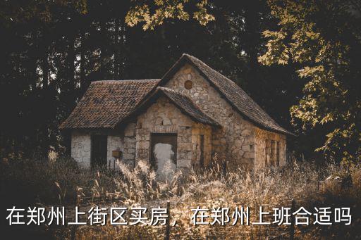 在鄭州上街區(qū)買房，在鄭州上班合適嗎