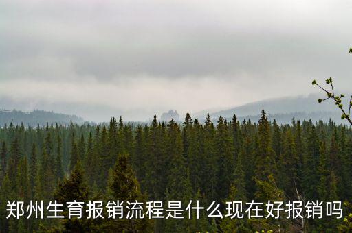 鄭州生育報(bào)銷流程是什么現(xiàn)在好報(bào)銷嗎