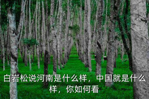 白巖松說河南人怎么樣中國就怎么樣,河南怎么樣中國就怎么樣