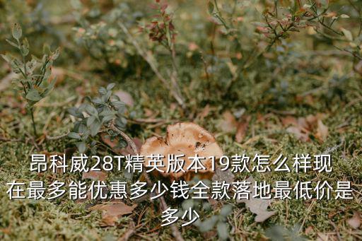 昂科威28T精英版本19款怎么樣現(xiàn)在最多能優(yōu)惠多少錢全款落地最低價(jià)是多少