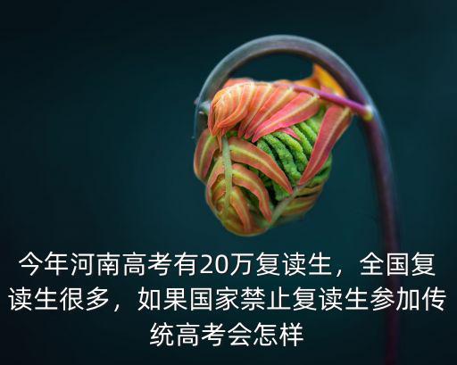 今年河南高考有20萬復讀生，全國復讀生很多，如果國家禁止復讀生參加傳統(tǒng)高考會怎樣