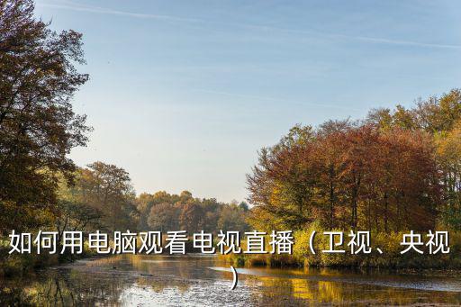 如何用電腦觀看電視直播（衛視、央視）