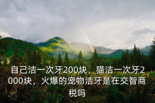 自己潔一次牙200塊，貓潔一次牙2000塊，火爆的寵物潔牙是在交智商稅嗎