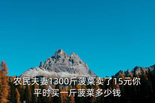 農民夫妻1300斤菠菜賣了15元你平時買一斤菠菜多少錢
