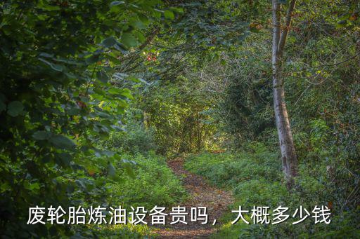 三門峽煉油設(shè)備多少錢,廢輪胎煉油設(shè)備多少錢
