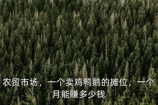 農貿市場，一個賣雞鴨鵝的攤位，一個月能賺多少錢