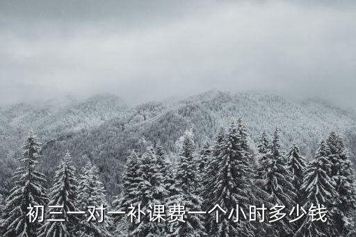 初三一對一補(bǔ)課費一個小時多少錢